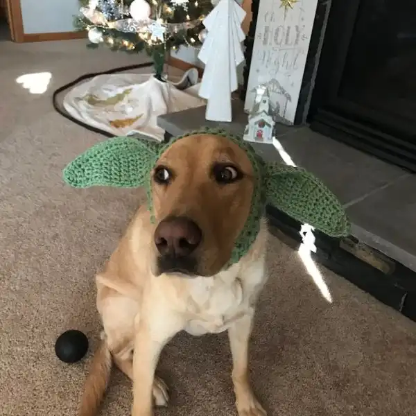 Baby Yoda Dog Hat Pattern