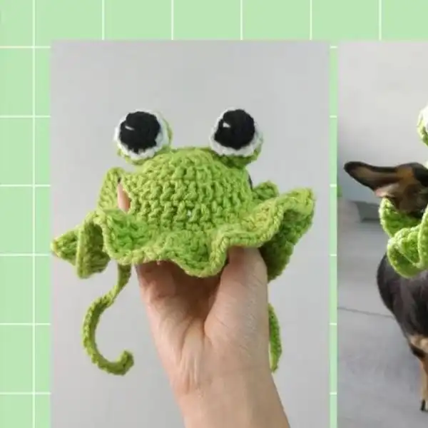 Cute Bucket Frog Hat
