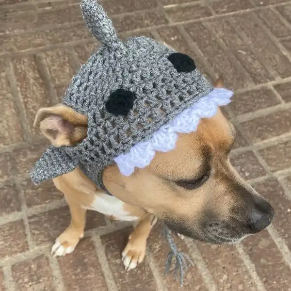 Shark Dog Hat
