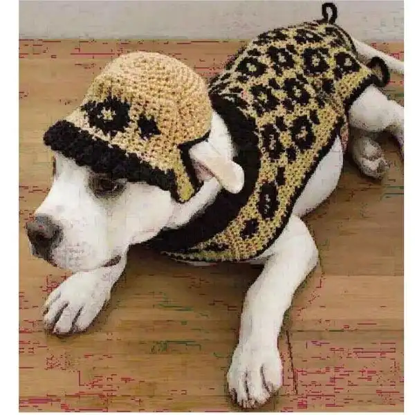 Vintage Dog Hat & Sweater