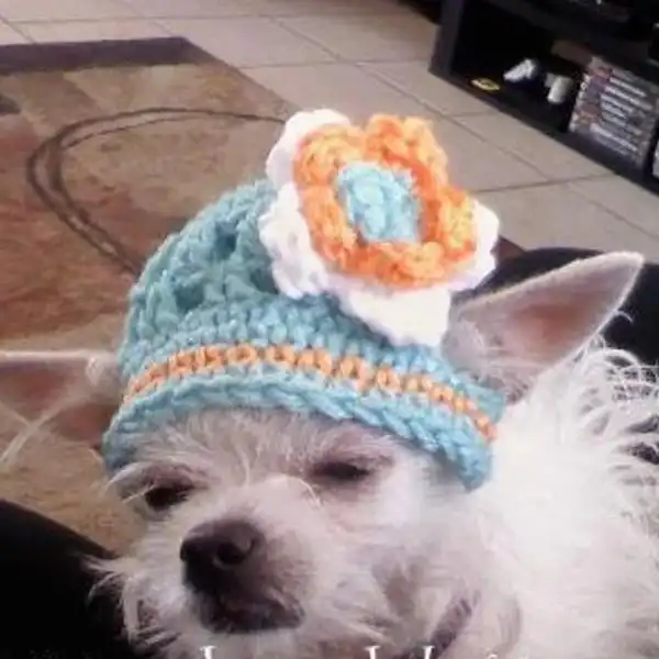 Summer Dog Hat Beanie