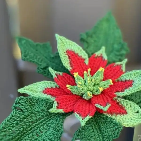 Crochet Poinsettia Plant