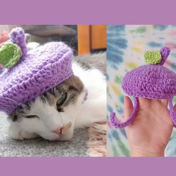 Beret Cat Hat