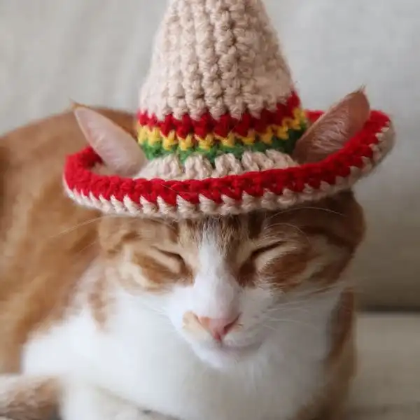Cat Sombrero Hat