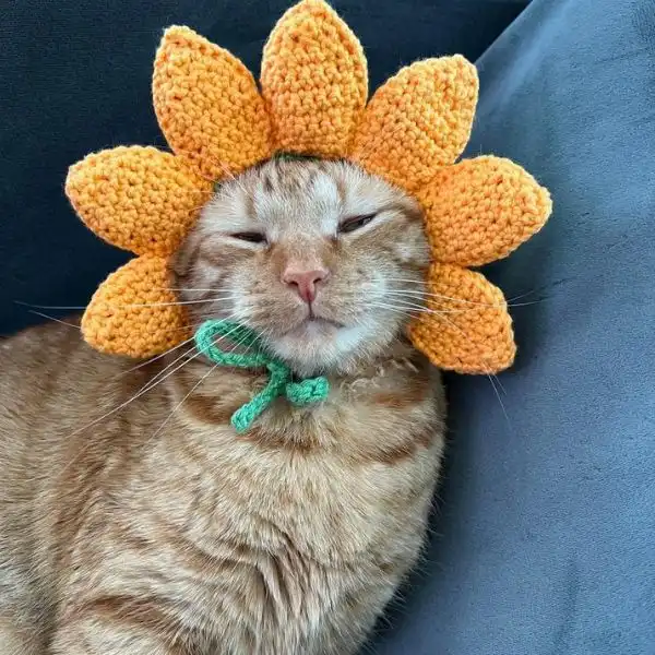 Sunflower Cat Hat