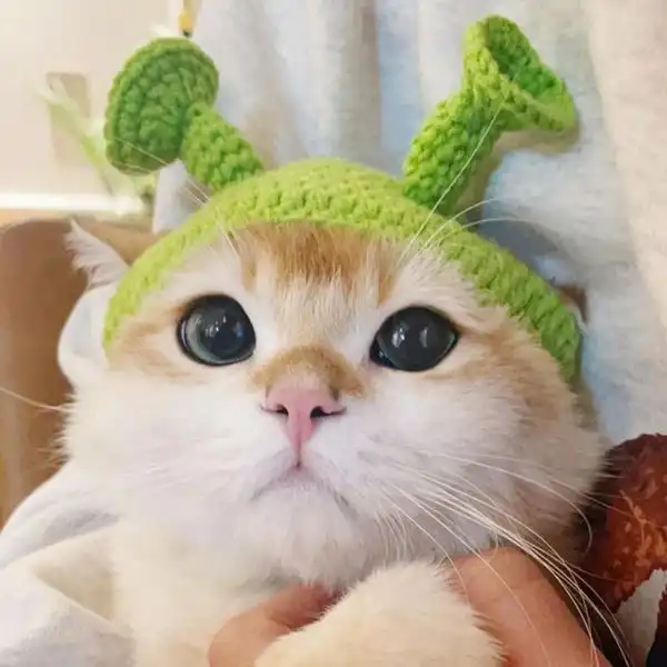 Shrek Hat