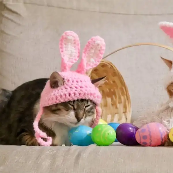 Easter Bunny Ear Hat