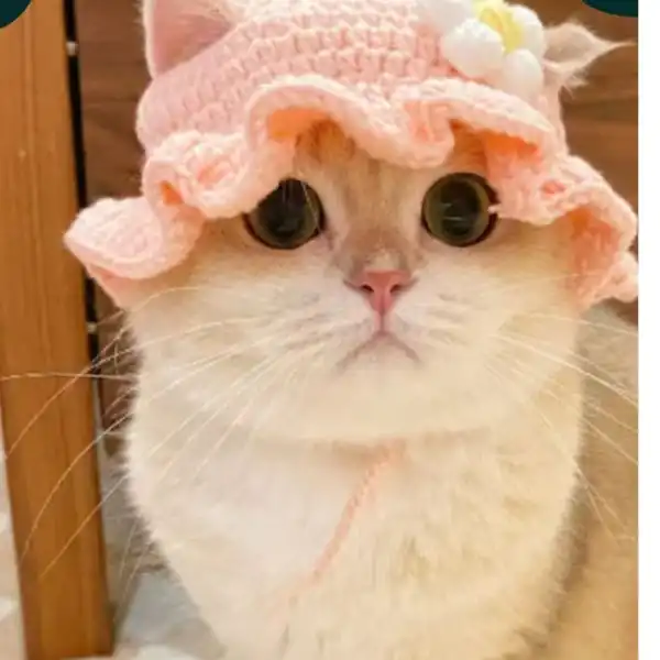 Flower Daisy Fairy Cat Hat