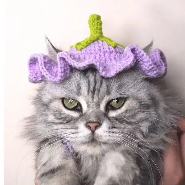 Flower Crochet Hat For Cat