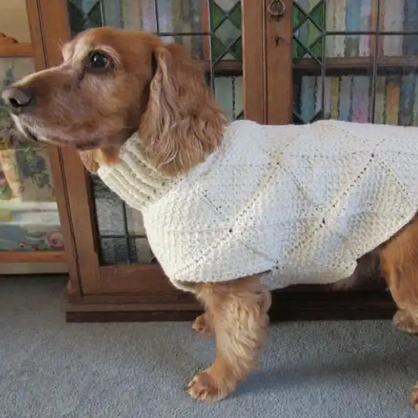 Tunisian Crochet Dog Sweater