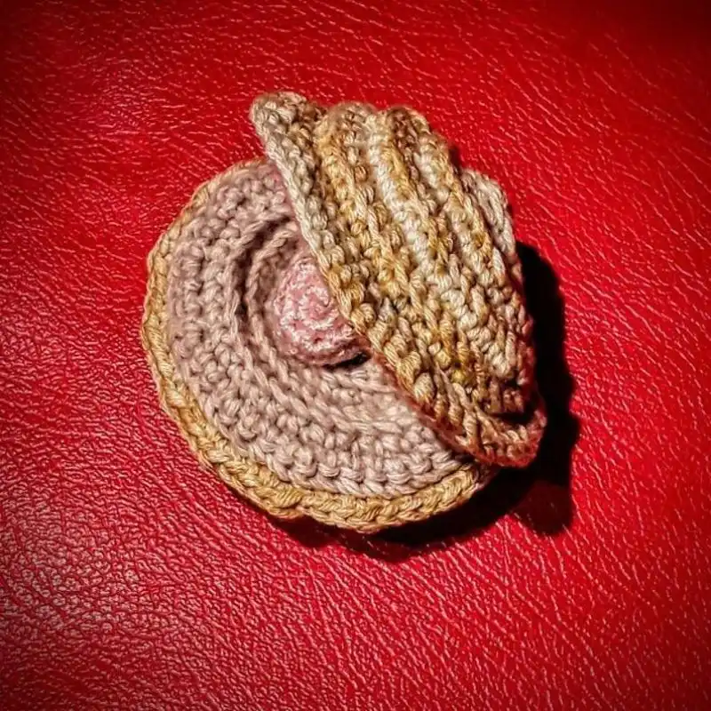 Crochet Seashells