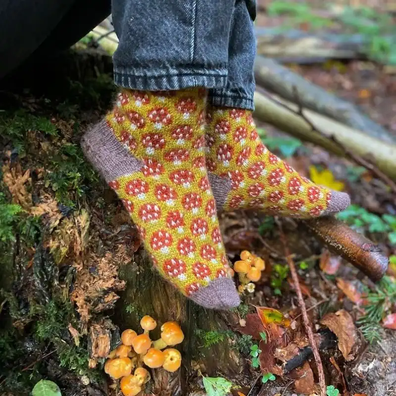 Magical Mycelium socks