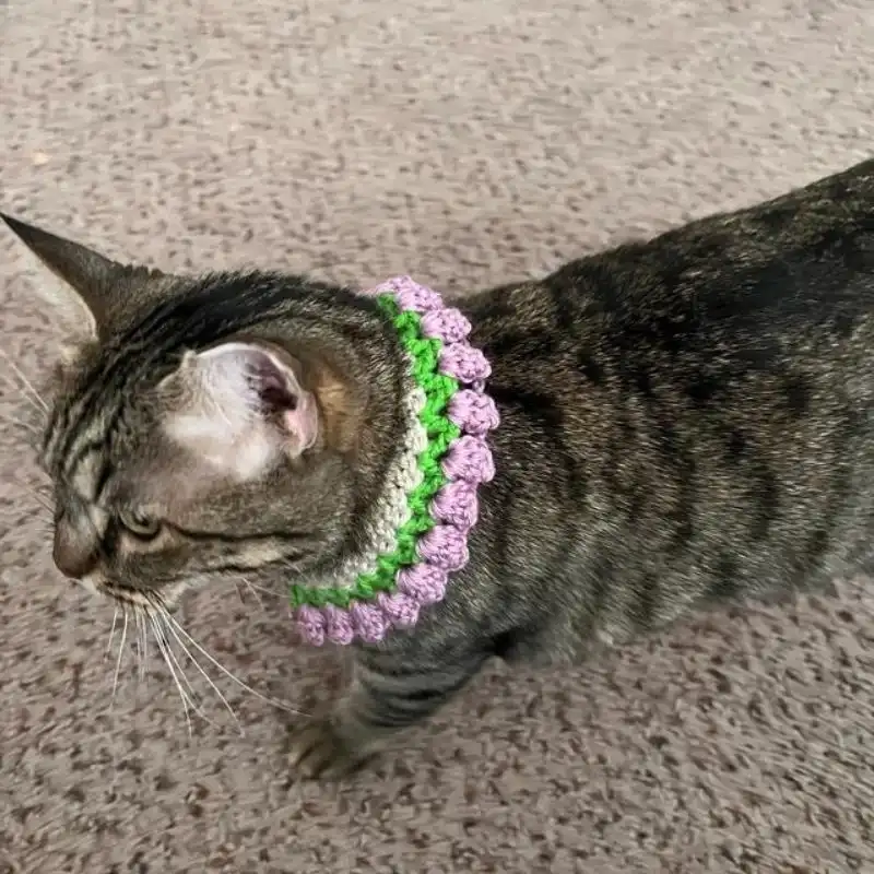 Crochet Dog Collar