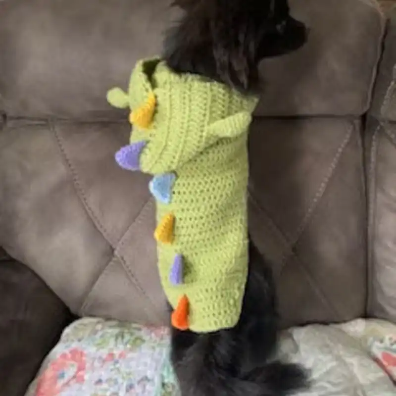 Dinosaur Jumper sweater