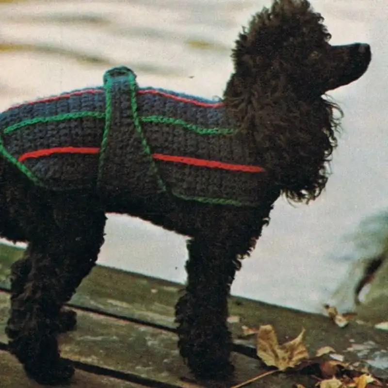 Dog Coat Crochet Pattern