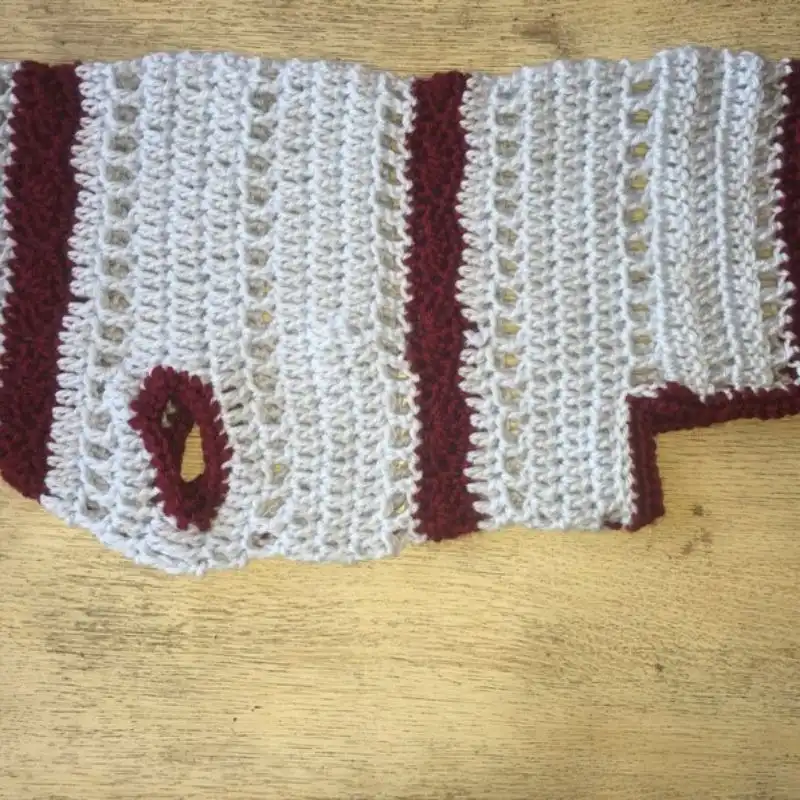 Shell Stitch Crochet Dog Sweater