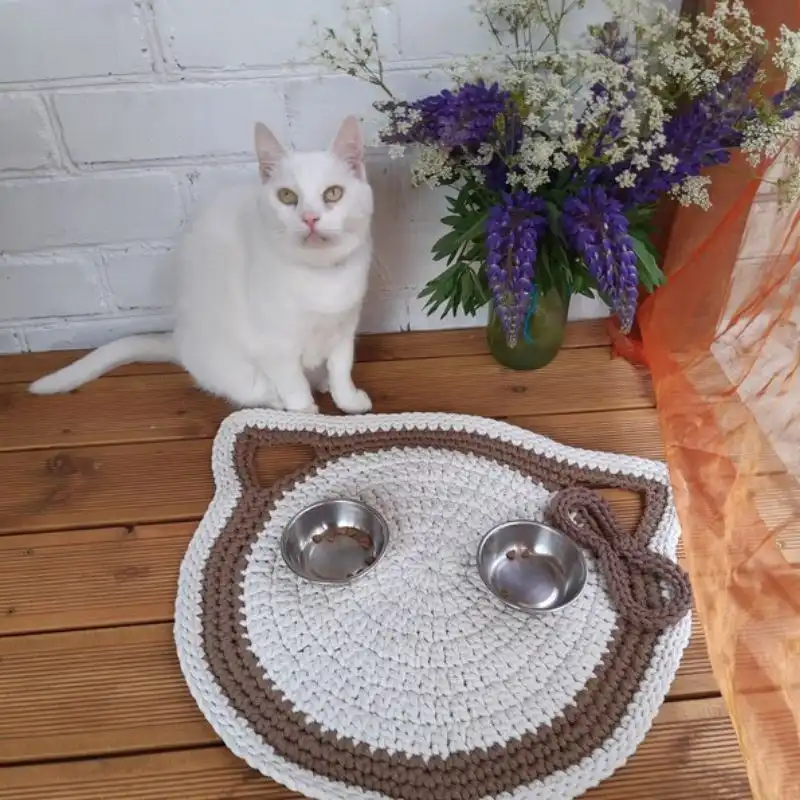 Pet Feeding And Placemats