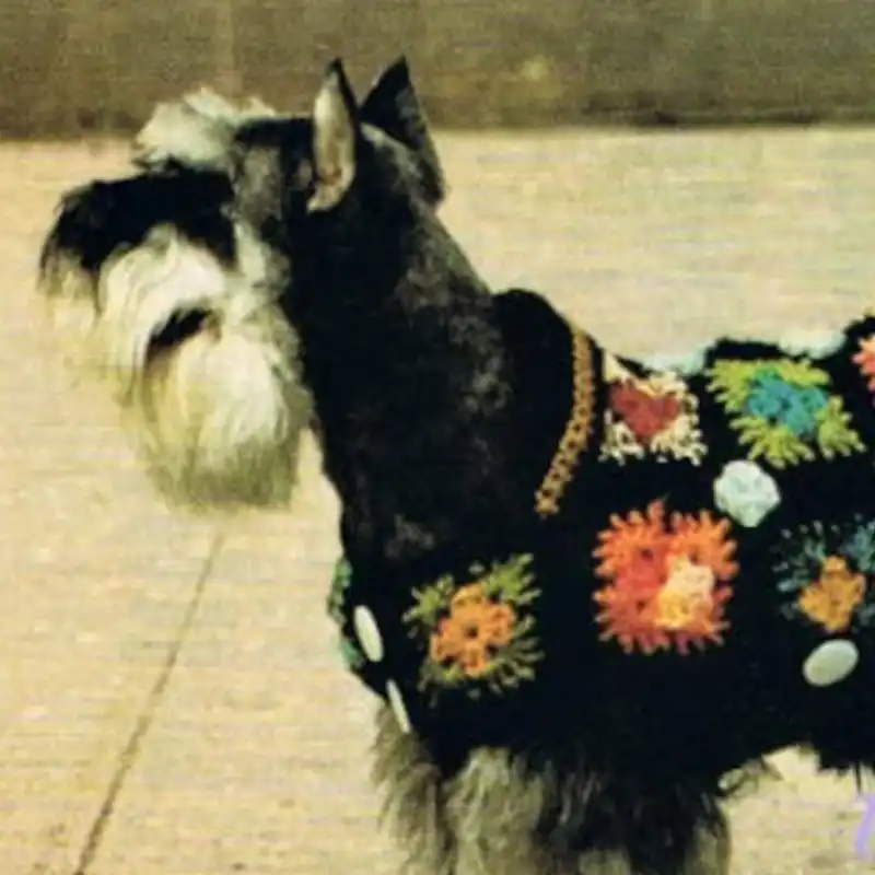 Vintage Granny Square Dog Jacket