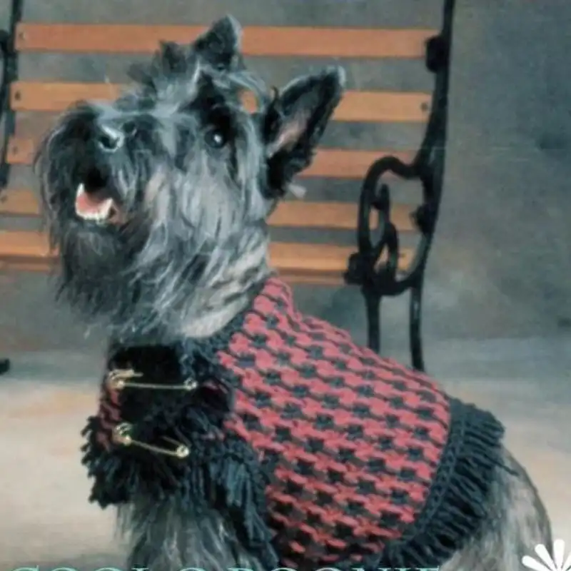 Houndstooth Sweater Dog Jumper
