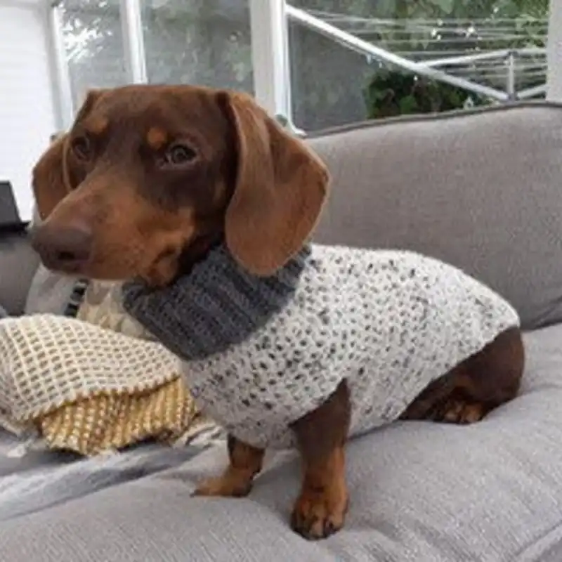 No Seams Dog Sweater