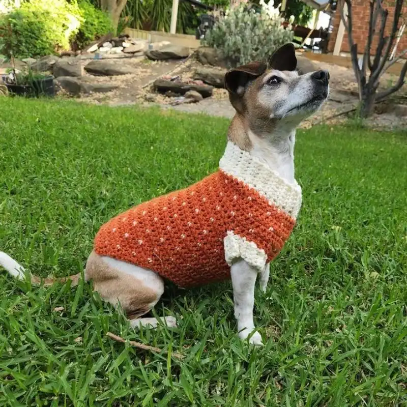 Snowfall Crochet Dog Sweater
