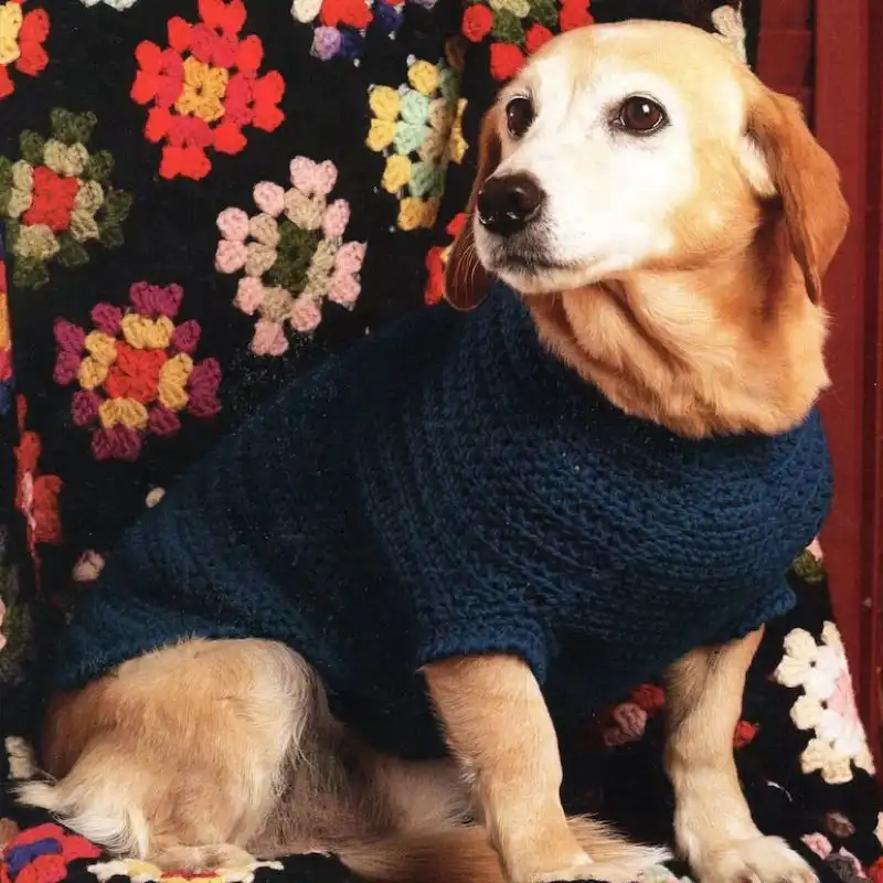 Dog Jacket Crochet Pattern