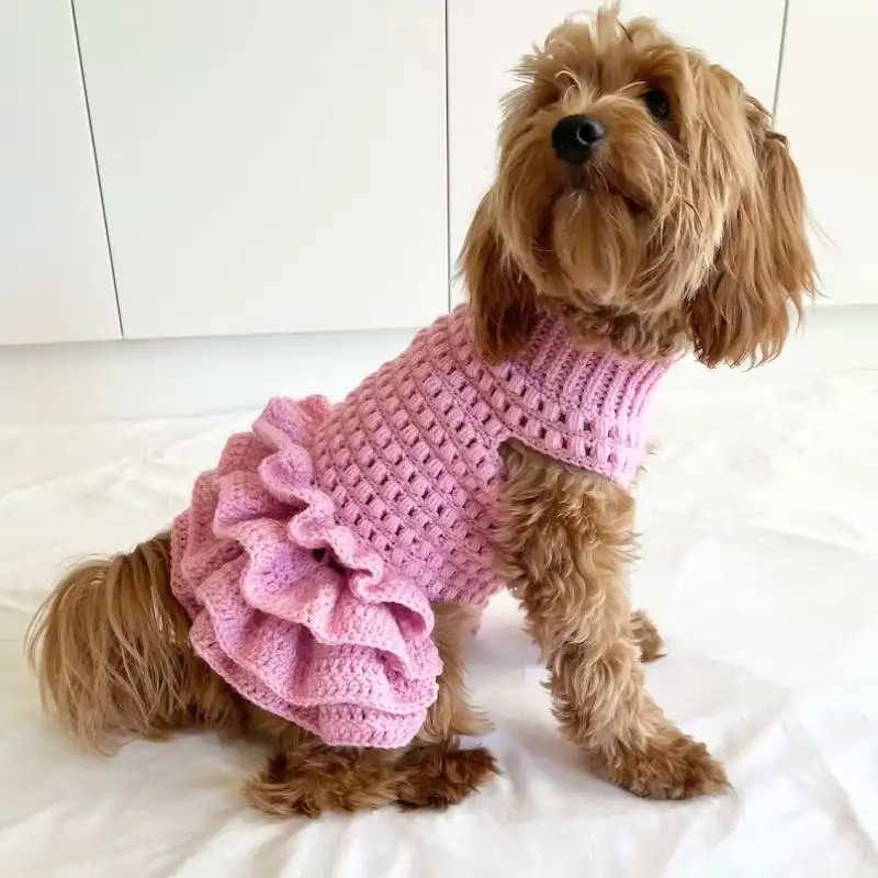 Puff Stitch Crochet Dog Jumper