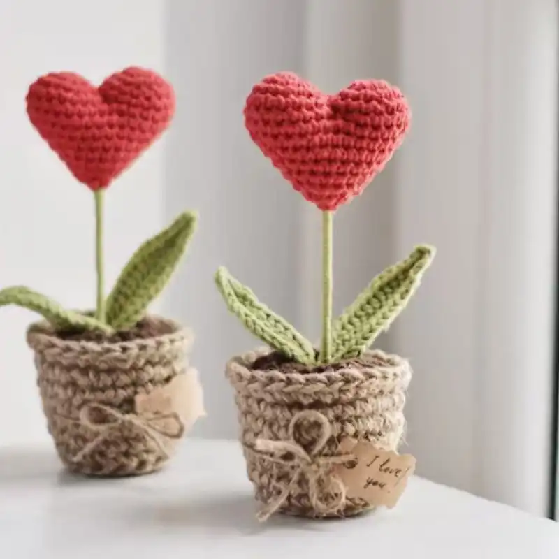Red Heart Plant