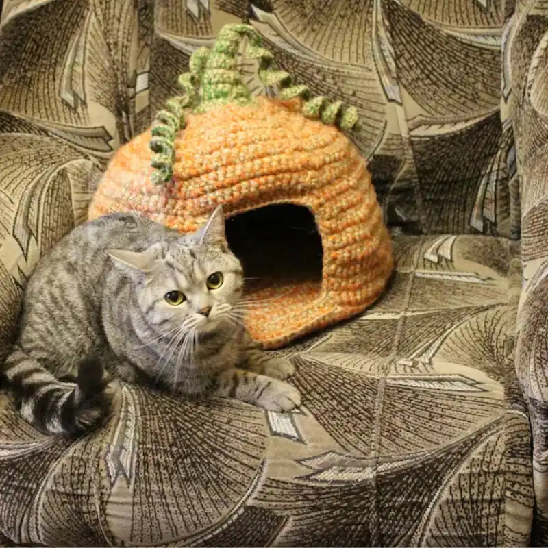 Pumpkin Bed Crochet Pattern