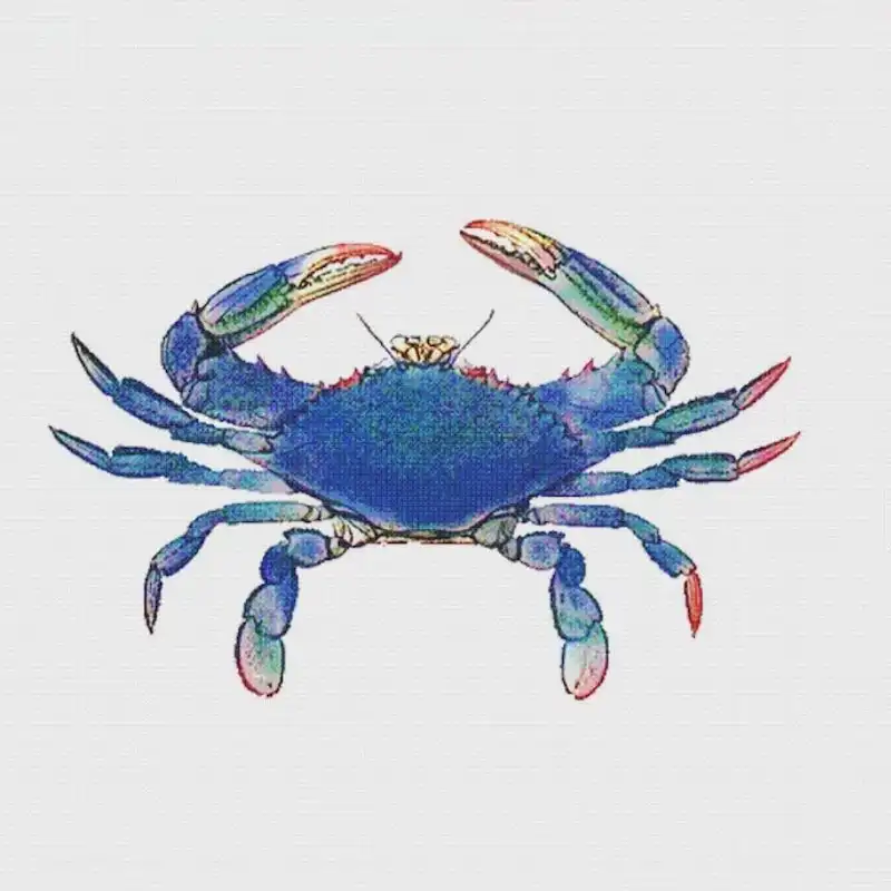 Crab Stitch Border