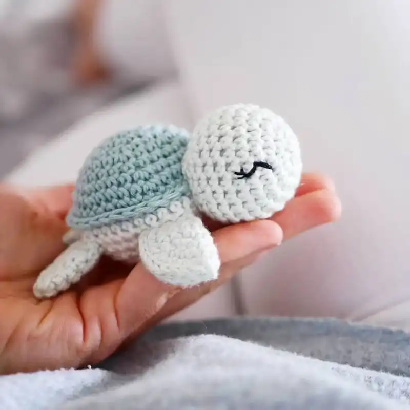 Cute Little Turtle