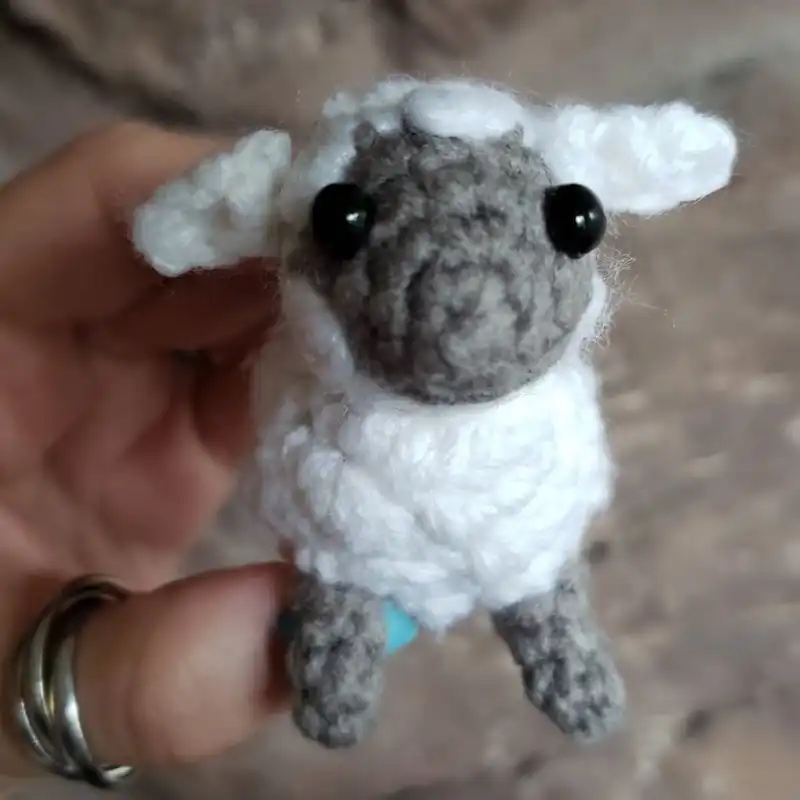 Mini Ami Lamb