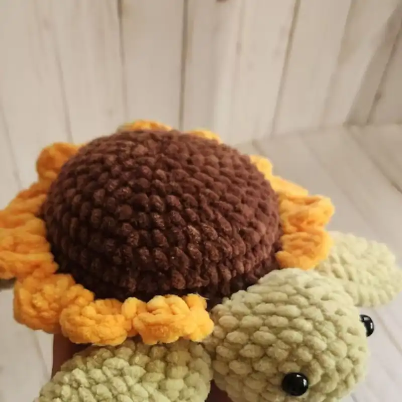 Sunflower Turtle