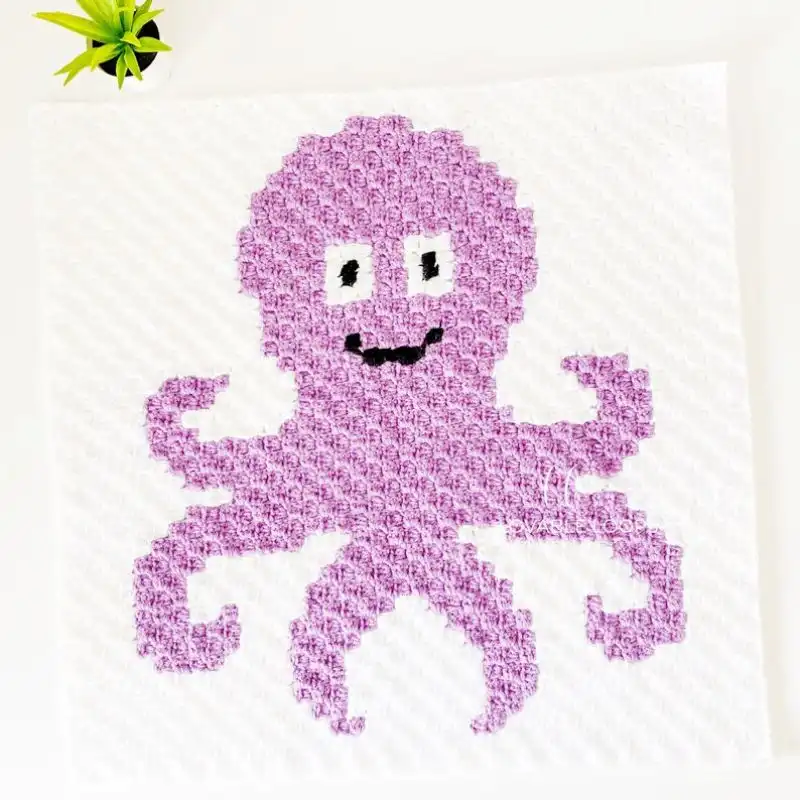 Crochet Octopus C2C