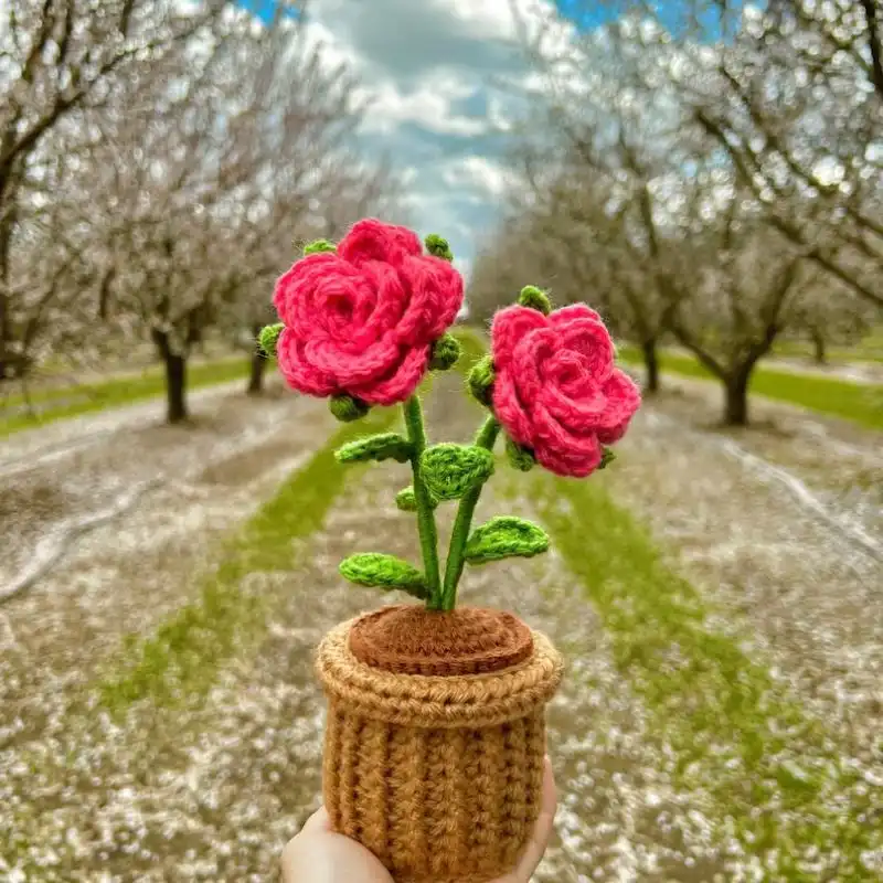 Crochet Potted Rose Pattern