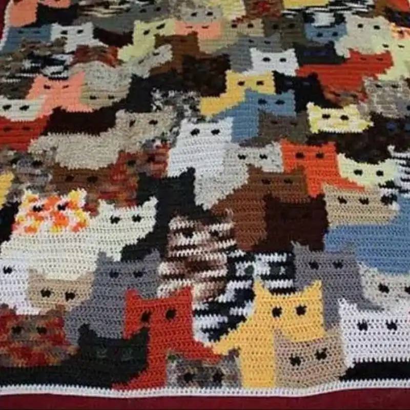 Kitty Blanket