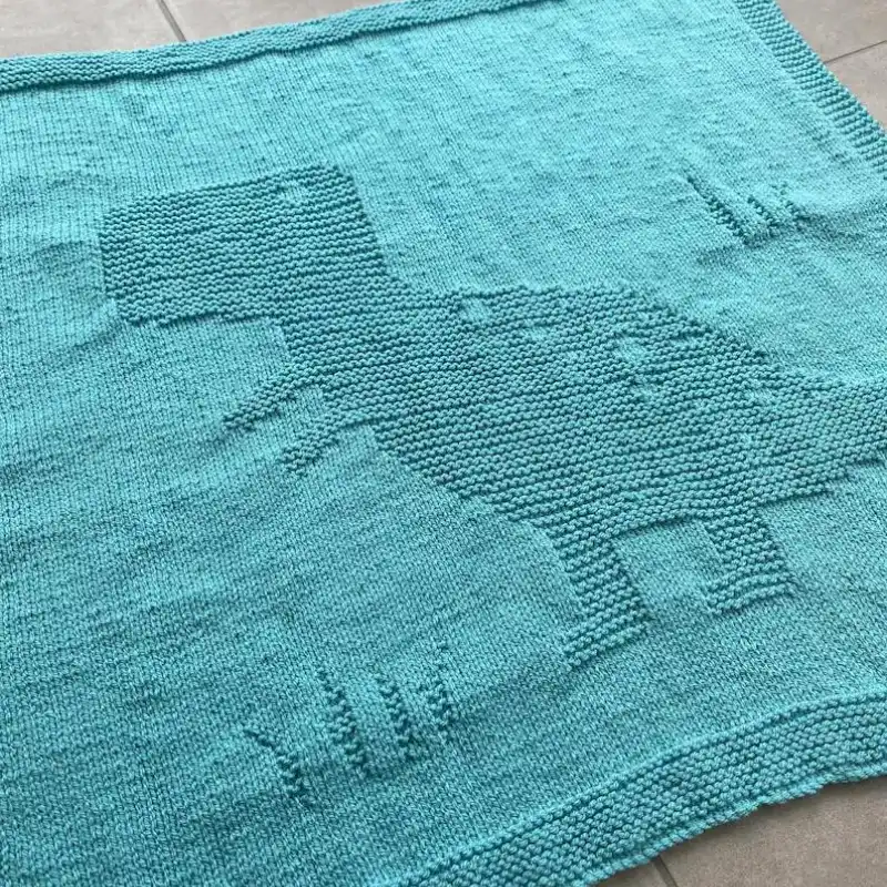 T- Rex Baby Blanket With Garter Border